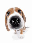 pic for CUTE DOGGY GIF